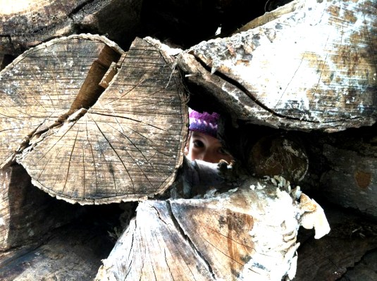 Through the wood slowly