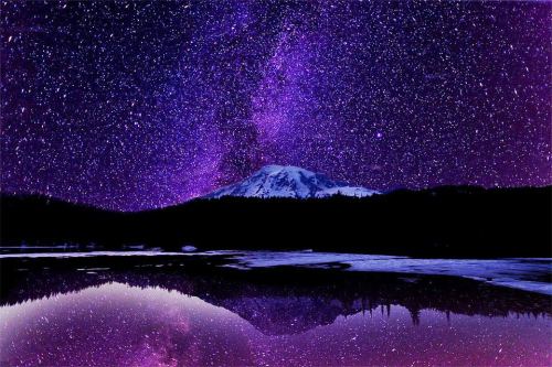 VIOLET Starscape