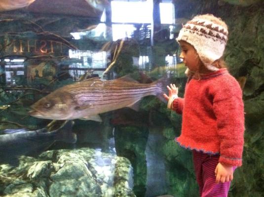 Annika@Aquarium Walthan