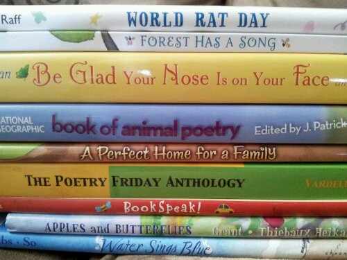 Catherine Johnson's spine poem