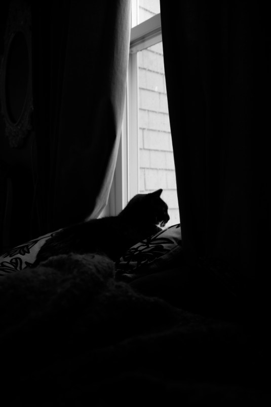 "Bugs" Photo by Quenby