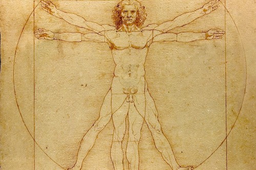Vitruvian man