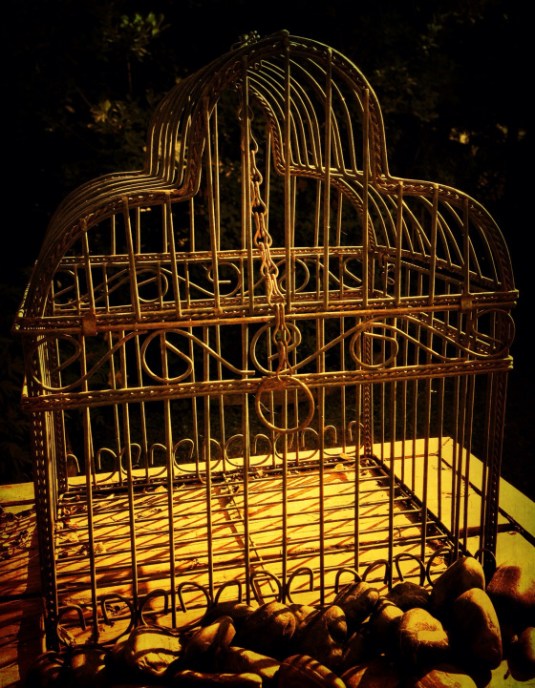 birdcage