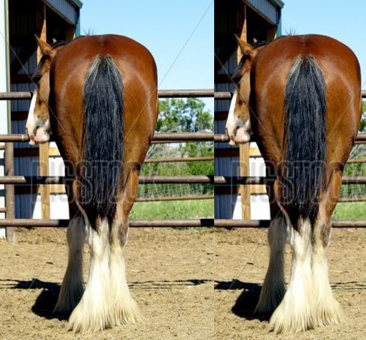 Four and one half feet between