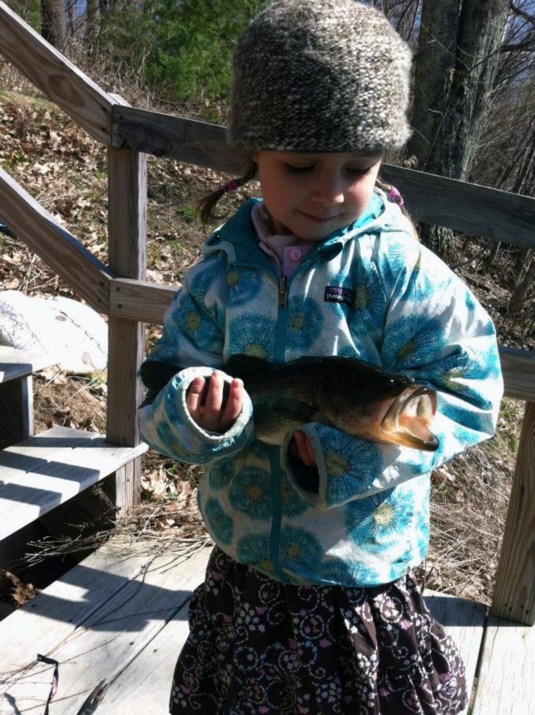 Accepted the lure: Every scale sings!