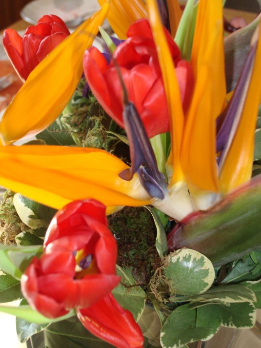 Photo by Quenby Feb 5, 2011