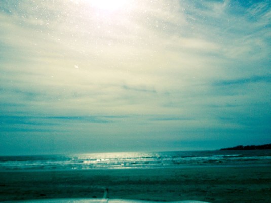 Newport Harbor calls the polar bears!