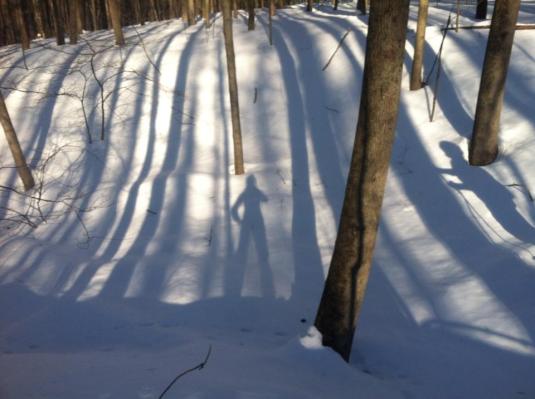 Emily, Owen, iPhone Camera in the woods