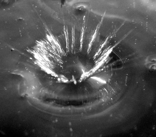 black&white photo shows movement: the impact of a drop!