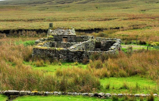 Grandma without her roof