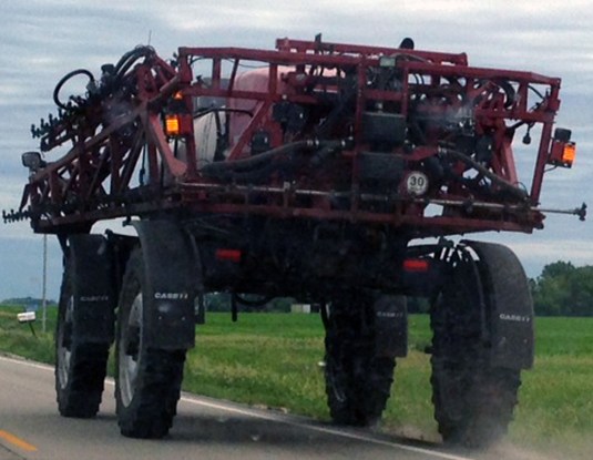 photo courtesy of Laura Purdie Salas