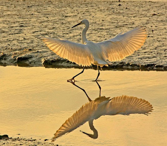 photo by Maria Oswald Rego