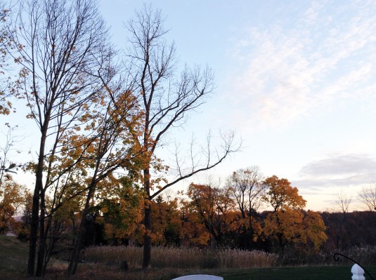 Berkshire Mountains from my deck by Jeanne 11/4/14