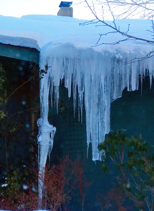 March Icicles  jail house   in Ghent