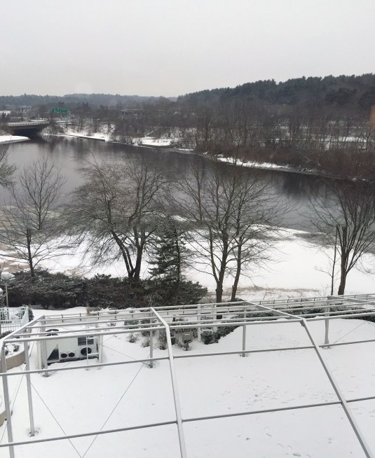 View from Marriott 3-21-2015 Quenby's 40th Birthday Party