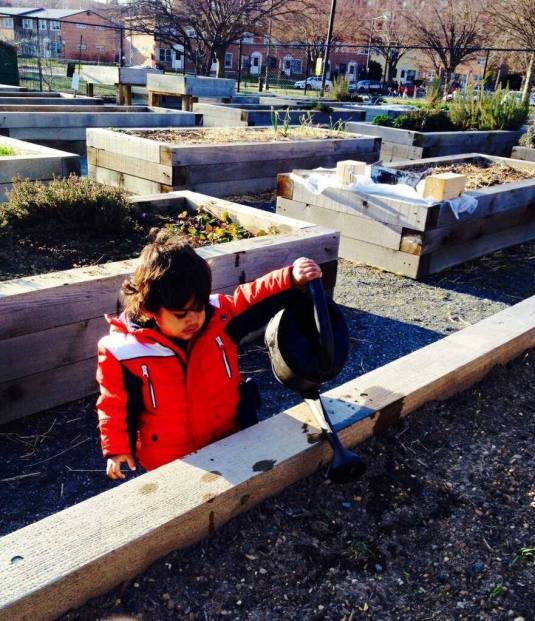 Kavi celebrates Spring