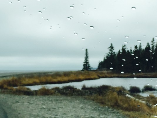 In the rain on the coast Maine in April, 2015