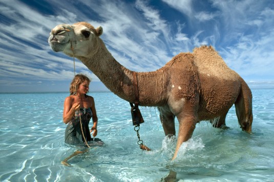 After walking almost 1700 miles across the heart of the Australian outback, Davidson and her camels arrived at the Indian Ocean. Never having seen a body of water larger than a puddle before, her camels were mesmerized. (Photo by Rick Smolan/Against All Odds Productions)