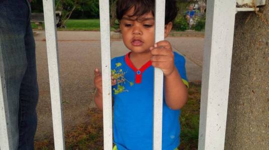 Kavi feeds the ducks