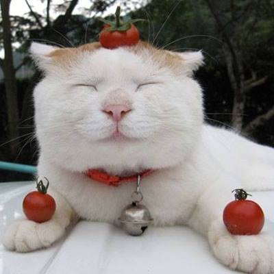 Roxy Epoxy's Portrait