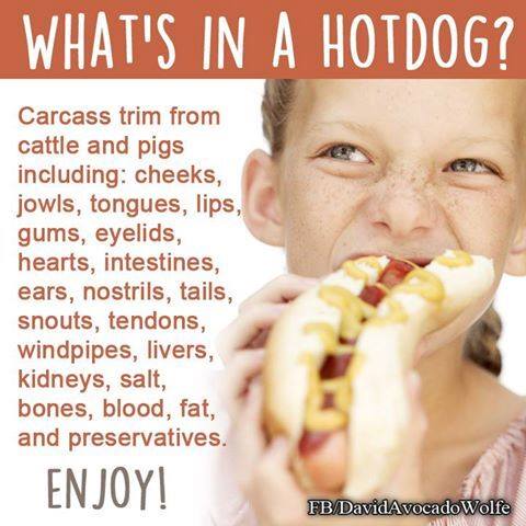 What's in a hotdog?