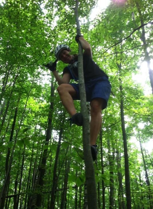 Still climbing trees