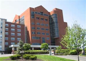 Albany Medical Center