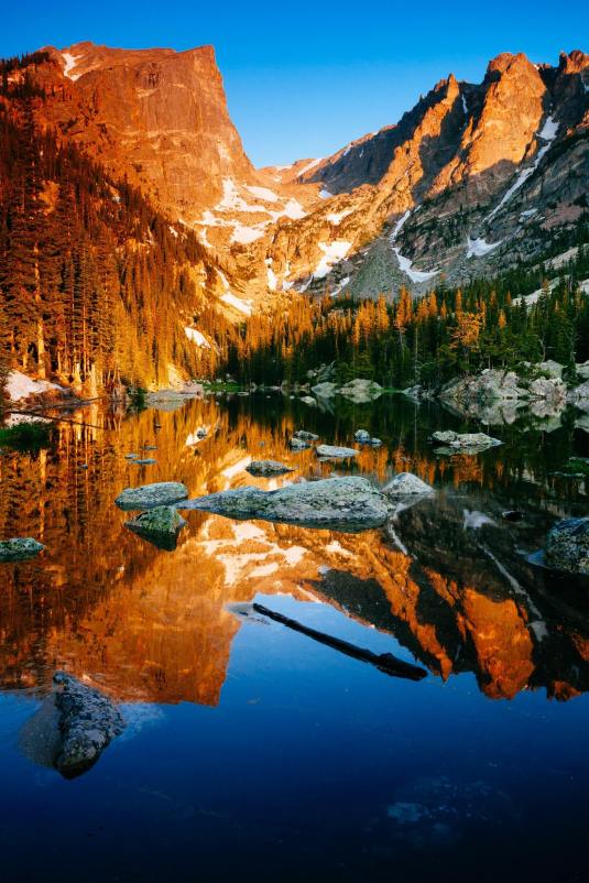 11754466_968780709841093_5863295473572794138_o