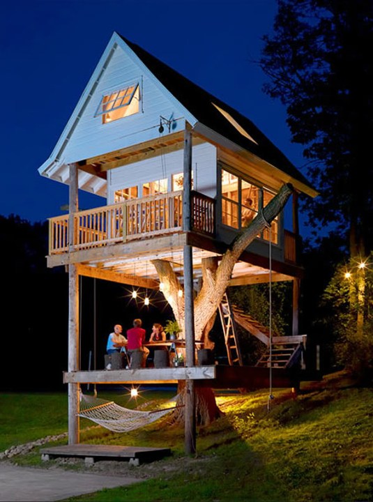Adult Tree House