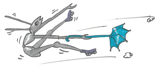 Ant as a Grandma, wind-skating