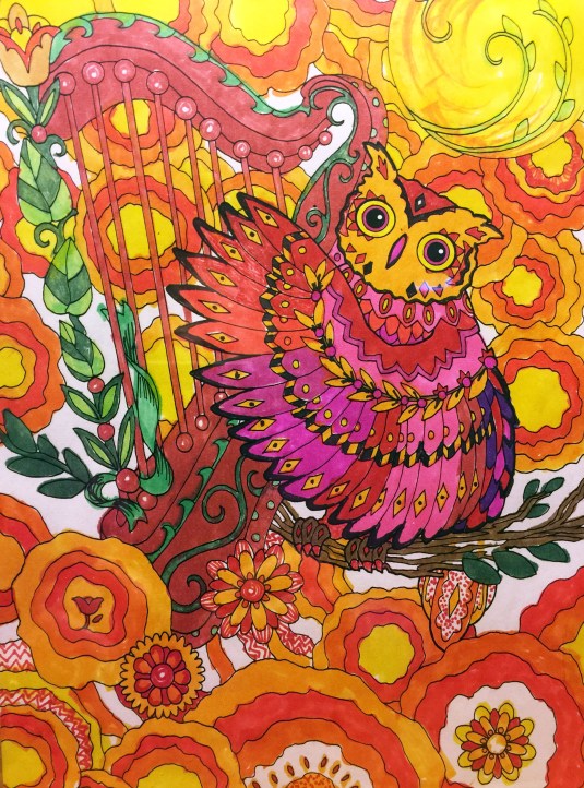 Photo and color by Jeanne 10-2015