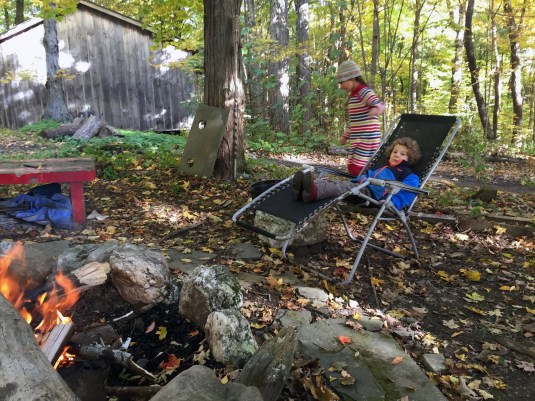 Today's View of House in the Woods