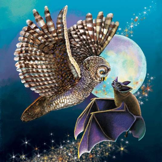 Diana Kizlauskas Illustrator