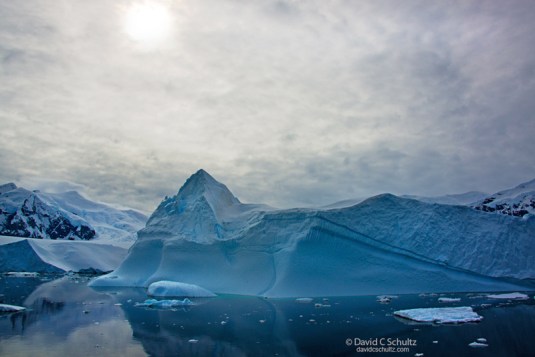 AntarticCharlesSchultz