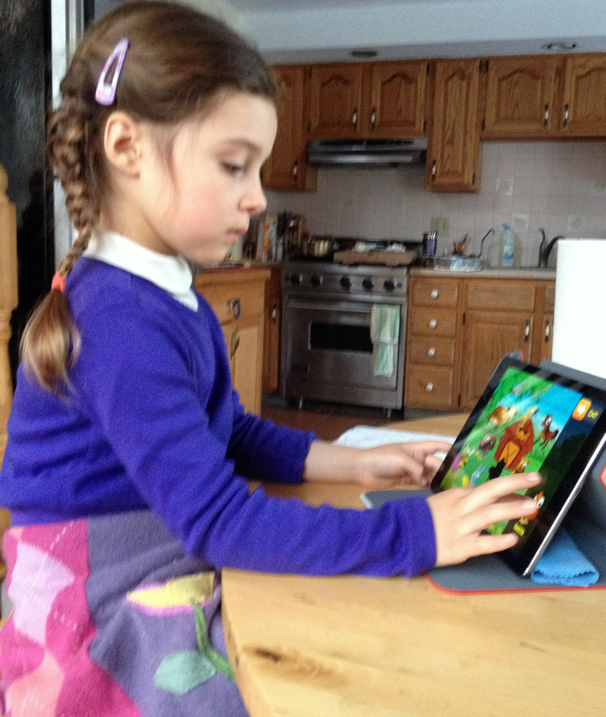 32ALg-AnnikaOniPadAir