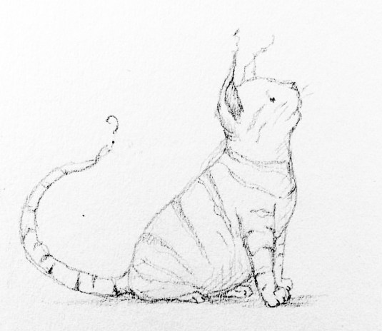 Bub'sCatbyElizStanton