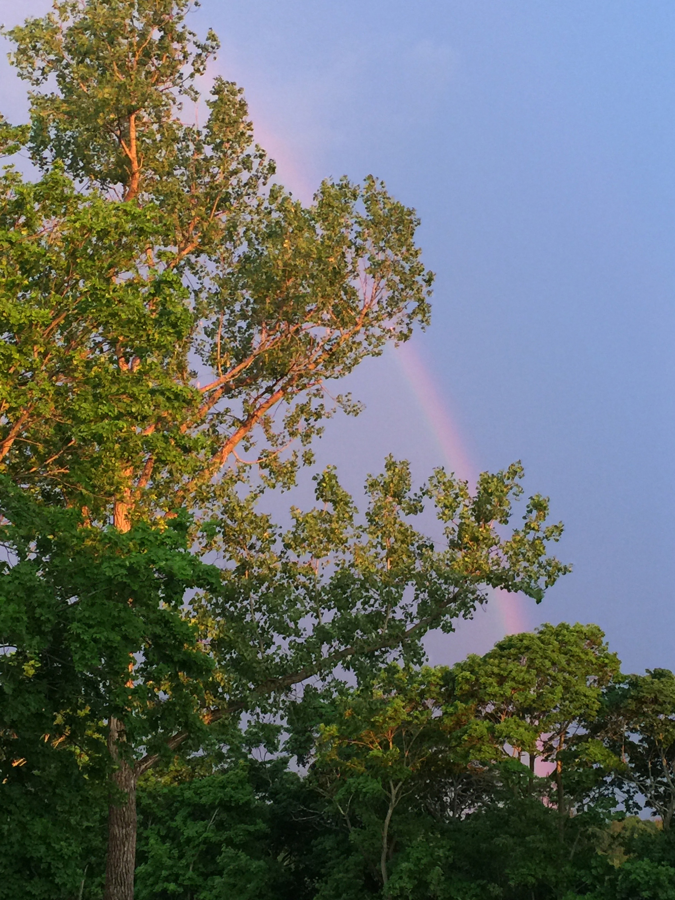 rainbowOffDeck6-2016