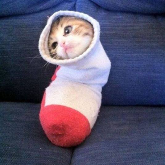 Meredith'sPortfolio09