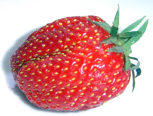 Strawberry_gariguette_DSC03063