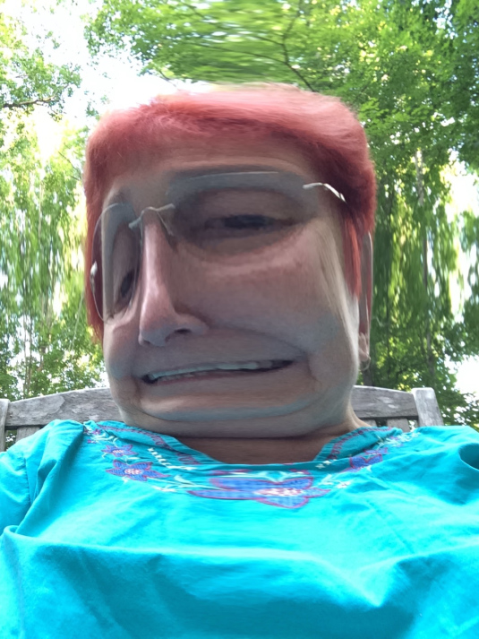 a panoramic view of Jeanne