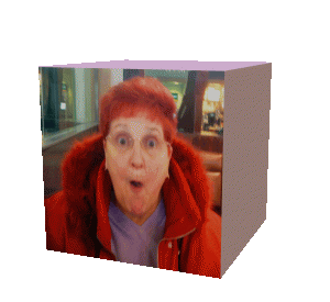 How did I end up in this box?