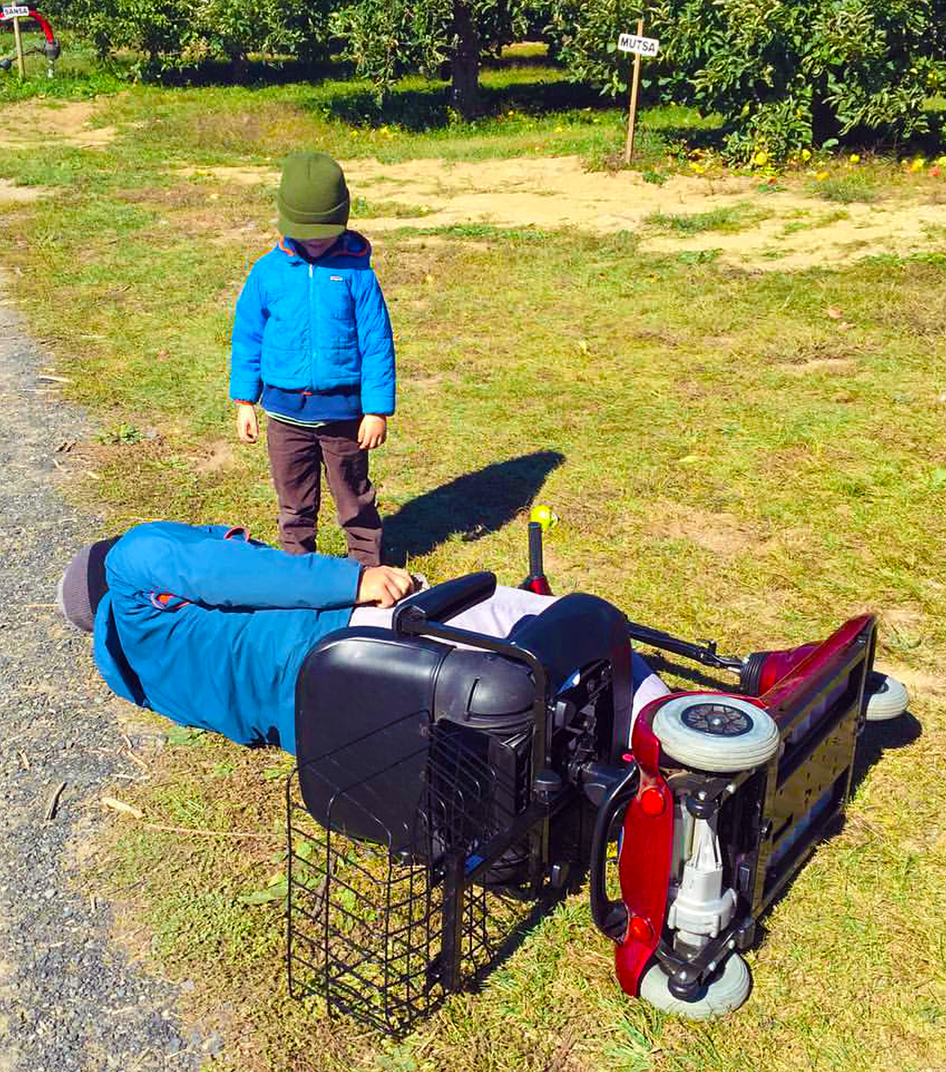 owen-steers-the-lynx