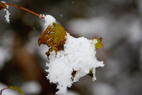 "You're not heavy;  you're my brother!"