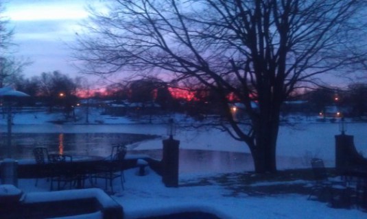 David Harrison's Photo in Mo