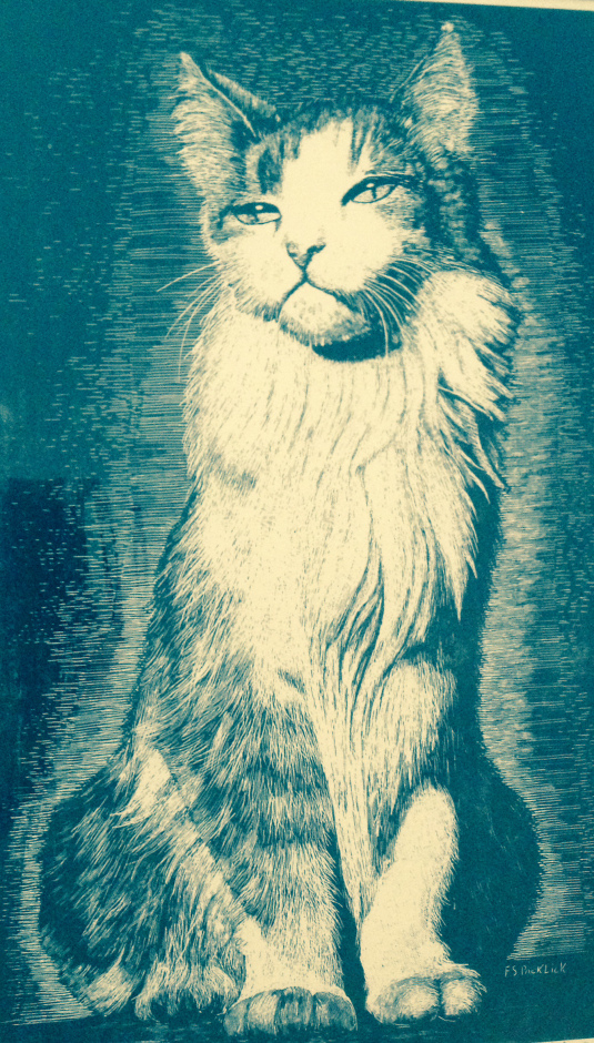 drawing by Frank Packlick