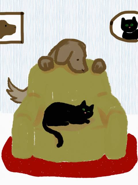 17800438_10155077613601598_7270868964055540704_n