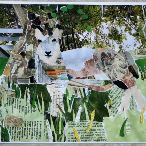 isla_500x500.24531708_f1p514df