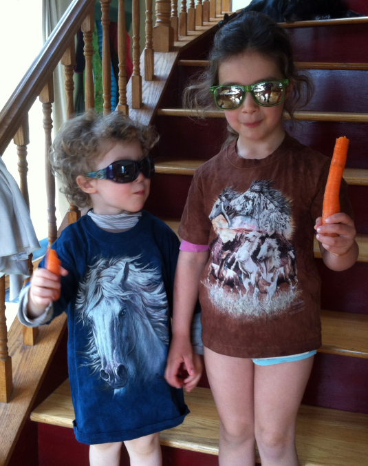 Two young horses  with carrots  ready to minister