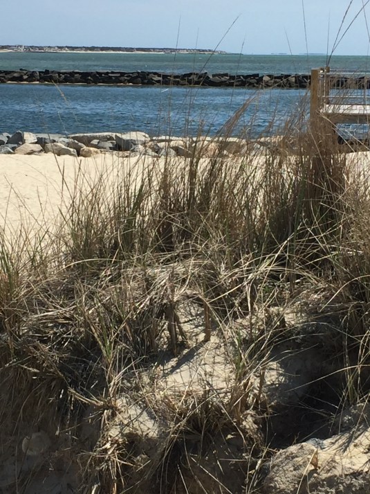Cape Cod Smuggler's Beach