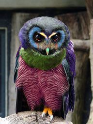 d0fa229c56b6782bd4286a6d8bd4fe8e